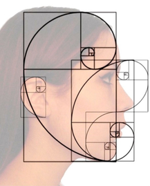 face golden section